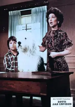 Лохматый прокурор (1976) смотреть онлайн Лохматый прокурор (1976) фильм смотреть онлайн