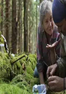 След зверя (2017) смотреть онлайн бесплатно След зверя (2017) фильм смотреть онлайн бесплатно