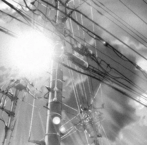 Она и её кот (1999) смотреть онлайн бесплатно Она и её кот (1999) мультфильм смотреть онлайн бесплатно