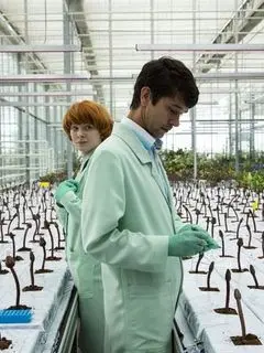 Малыш Джо / Little Joe (2019) фильм смотреть онлайне бесплатно Смотреть Малыш Джо / Little Joe(2019) фильм в онлайне бесплатно