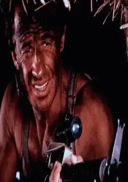 Профессионал (1981) смотреть онлайн бесплатно Профессионал (1981) фильм смотреть онлайн бесплатно