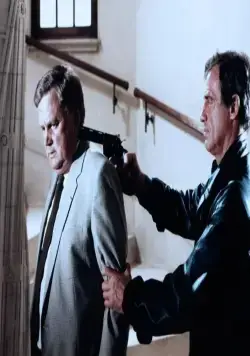 Профессионал (1981) в хорошем качестве смотреть онлайн Профессионал (1981) фильм в хорошем качестве смотреть онлайн