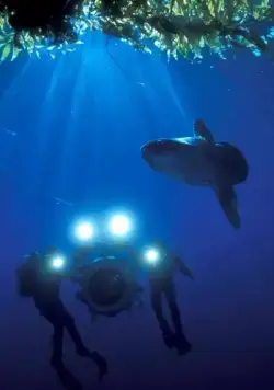 Тайны подводного мира 3D (2006) смотреть онлайн Тайны подводного мира 3D (2006) фильм смотреть онлайн