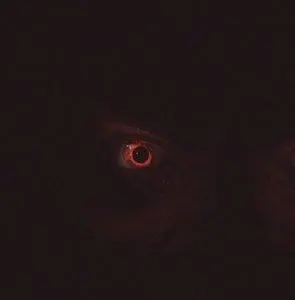 30 дней до рассвета (2006) в хорошем качестве смотреть онлайн 30 дней до рассвета (2006) фильм в хорошем качестве смотреть онлайн