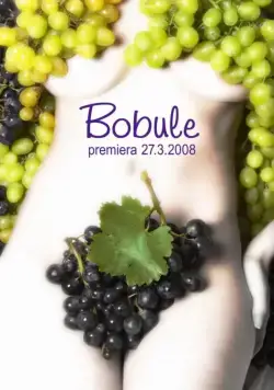 Ягоды / Bobule (2008) фильм смотреть онлайн Ягоды / Bobule (2008) фильм смотреть онлайн в хорошем качестве