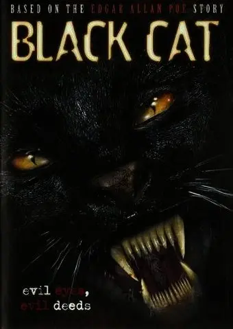 Черная кошка / Black Cat (2004) фильм смотреть онлайн в хорошем качестве