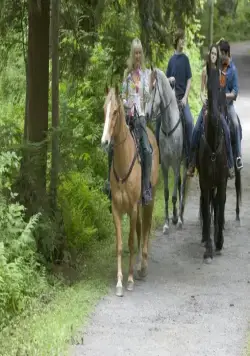 Жестокие люди (2006) смотреть онлайн бесплатно Жестокие люди (2006) фильм смотреть онлайн бесплатно