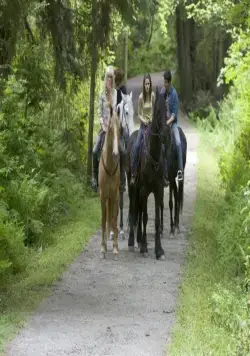 Жестокие люди (2006) смотреть онлайн Жестокие люди (2006) фильм смотреть онлайн