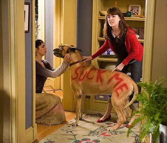 Школа негодяев (2006) смотреть онлайн бесплатно Школа негодяев (2006) фильм смотреть онлайн бесплатно