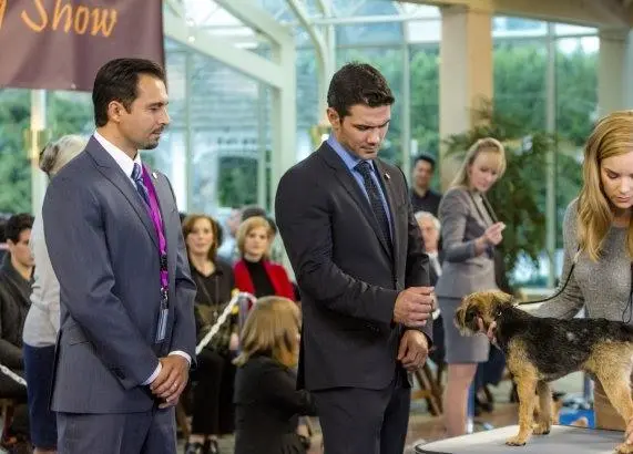 Гордость и предубеждение и собаки (2016) в хорошем качестве смотреть онлайн Гордость и предубеждение и собаки (2016) фильм в хорошем качестве смотреть онлайн