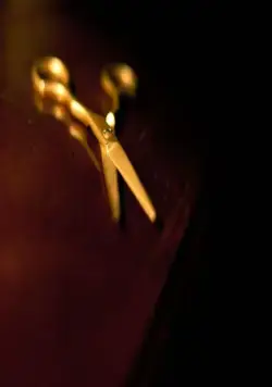 Золотые ножницы (2012) в хорошем качестве смотреть онлайн Золотые ножницы (2012) фильм в хорошем качестве смотреть онлайн