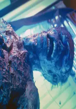 Городские легенды 3: Кровавая Мэри (2005) в хорошем качестве смотреть онлайн Городские легенды 3: Кровавая Мэри (2005) фильм в хорошем качестве смотреть онлайн