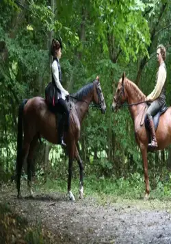 Кинчем (2017) смотреть онлайн Кинчем (2017) фильм смотреть онлайн