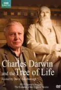 Чарльз Дарвин и Древо жизни / Charles Darwin and the Tree of Life (2009) фильм смотреть онлайн Чарльз Дарвин и Древо жизни / Charles Darwin and the Tree of Life (2009) фильм смотреть онлайн в хорошем качестве