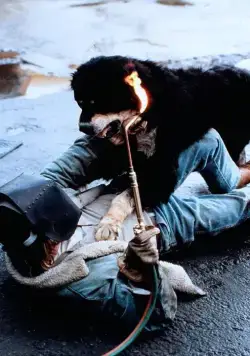 Лучший друг человека (1993) смотреть онлайн бесплатно Лучший друг человека (1993) фильм смотреть онлайн бесплатно