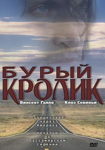 Бурый кролик / The Brown Bunny (2003) фильм смотреть онлайн в хорошем качестве