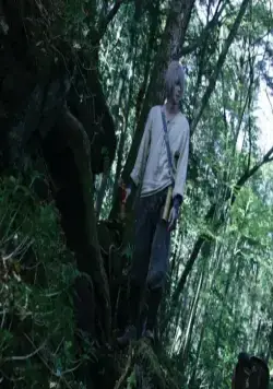 Мастер Муси (2006) в хорошем качестве смотреть онлайн Мастер Муси (2006) фильм в хорошем качестве смотреть онлайн