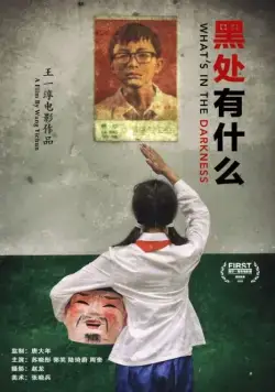 Что скрывает тьма / Hei chu you shen me (2015) фильм смотреть онлайн Что скрывает тьма / Hei chu you shen me (2015) фильм смотреть онлайн в хорошем качестве