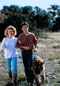 Тигриная история (1987) смотреть онлайн бесплатно Тигриная история (1987) фильм смотреть онлайн бесплатно
