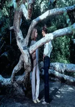 Американский жиголо (1980) в хорошем качестве смотреть онлайн Американский жиголо (1980) фильм в хорошем качестве смотреть онлайн