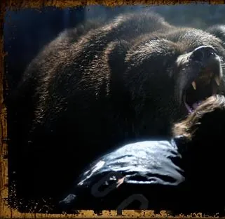 Гризли Парк (2007) смотреть онлайн Гризли Парк (2007) фильм смотреть онлайн