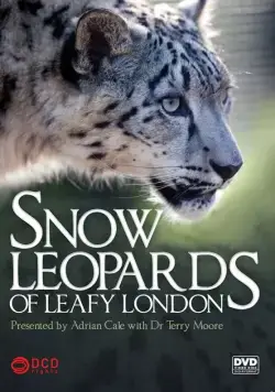 Snow Leopards of Leafy London (2013) cериал смотреть онлайн в хорошем качестве