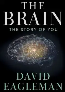 Мозг с Дэвидом Иглменом / The Brain with Dr. David Eagleman (2015) cериал смотреть онлайн Мозг с Дэвидом Иглменом / The Brain with Dr. David Eagleman (2015) cериал смотреть онлайн в хорошем качестве
