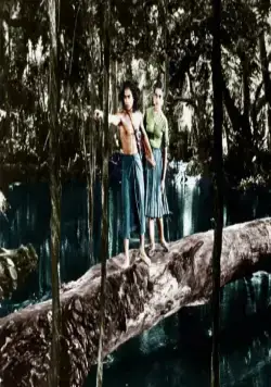 Книга джунглей (1942) смотреть онлайн Книга джунглей (1942) фильм смотреть онлайн