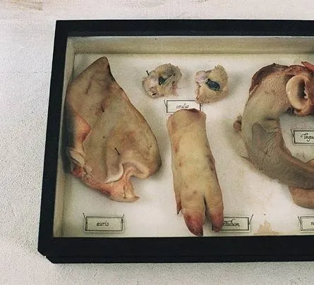 Безумие (2005) в хорошем качестве смотреть онлайн Безумие (2005) фильм в хорошем качестве смотреть онлайн