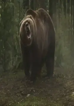 Гризли (2013) смотреть онлайн бесплатно Гризли (2013) фильм смотреть онлайн бесплатно