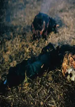 Джейсон отправляется в ад: Последняя пятница (1993) смотреть онлайн бесплатно Джейсон отправляется в ад: Последняя пятница (1993) фильм смотреть онлайн бесплатно