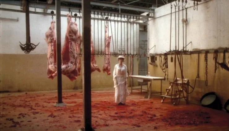 Очарование (1979) в хорошем качестве смотреть онлайн Очарование (1979) фильм в хорошем качестве смотреть онлайн