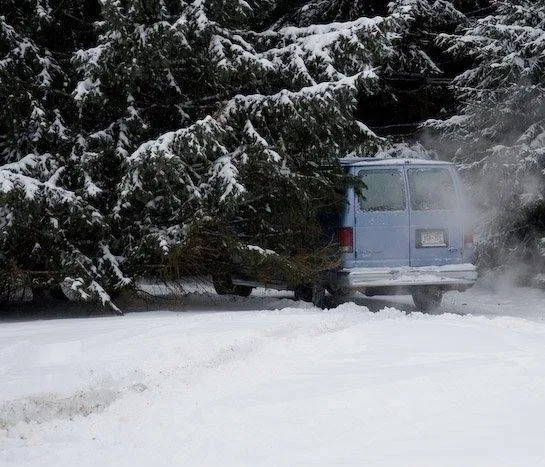 Ясное озеро (2009) смотреть онлайн бесплатно Ясное озеро (2009) фильм смотреть онлайн бесплатно