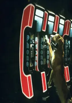 Бинго (1991) смотреть онлайн бесплатно Бинго (1991) фильм смотреть онлайн бесплатно