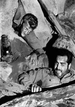 Туз в рукаве (1951) смотреть онлайн Туз в рукаве (1951) фильм смотреть онлайн