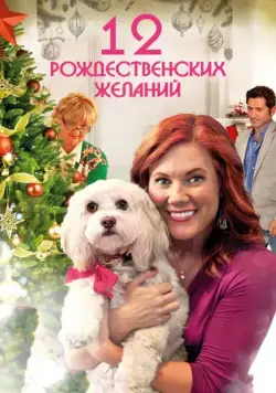 12 Рождественских желаний / 12 Wishes of Christmas (2011) фильм смотреть онлайн в хорошем качестве
