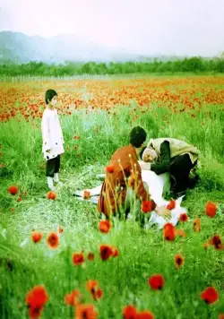 Древо желания (1977) в хорошем качестве смотреть онлайн Древо желания (1977) фильм в хорошем качестве смотреть онлайн