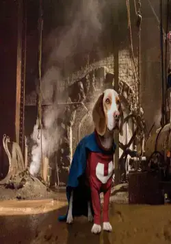 Суперпес (2007) в хорошем качестве смотреть онлайн Суперпес (2007) фильм в хорошем качестве смотреть онлайн