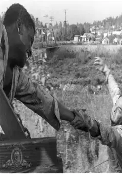 Скованные одной цепью (1958) в хорошем качестве смотреть онлайн Скованные одной цепью (1958) фильм в хорошем качестве смотреть онлайн