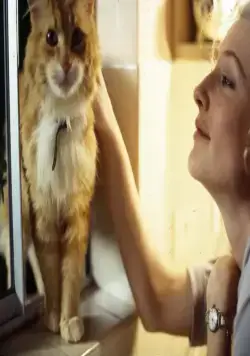 Тайны заблудших душ (2005) смотреть онлайн бесплатно Тайны заблудших душ (2005) фильм смотреть онлайн бесплатно