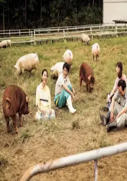 Семейка на выживании (2016) смотреть онлайн Семейка на выживании (2016) фильм смотреть онлайн