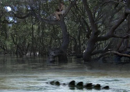 Хищные воды (2007) в хорошем качестве смотреть онлайн Хищные воды (2007) фильм в хорошем качестве смотреть онлайн