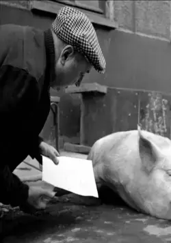 Через Париж (1956) смотреть онлайн бесплатно Через Париж (1956) фильм смотреть онлайн бесплатно