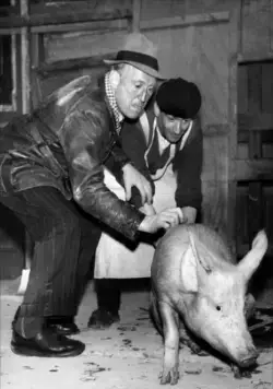 Через Париж (1956) в хорошем качестве смотреть онлайн Через Париж (1956) фильм в хорошем качестве смотреть онлайн