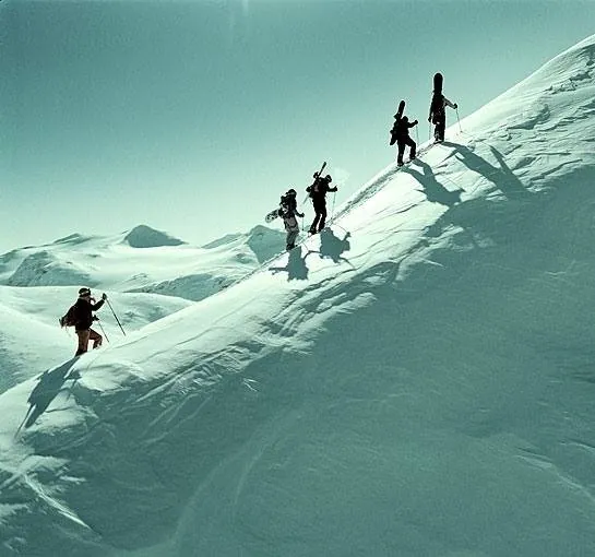 Остаться в живых (2006) смотреть онлайн бесплатно Остаться в живых (2006) фильм смотреть онлайн бесплатно