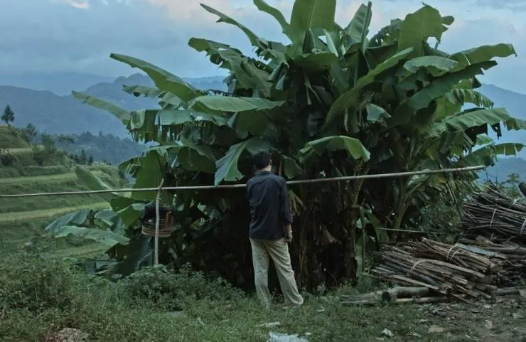 Кайлийская меланхолия (2015) смотреть онлайн Кайлийская меланхолия (2015) фильм смотреть онлайн