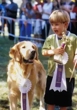 Король воздуха: Возвращение (2003) смотреть онлайн Король воздуха: Возвращение (2003) фильм смотреть онлайн