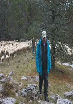 Стоять ровно (2016) смотреть онлайн бесплатно Стоять ровно (2016) фильм смотреть онлайн бесплатно