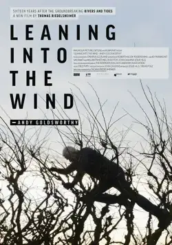 Leaning Into the Wind: Andy Goldsworthy (2017) фильм смотреть онлайн в хорошем качестве