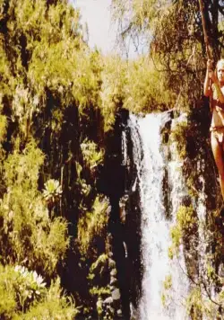 Шина – королева джунглей (1984) в хорошем качестве смотреть онлайн Шина – королева джунглей (1984) фильм в хорошем качестве смотреть онлайн